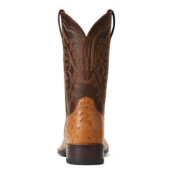 'Ariat' Men's 11" Night Life Ultra Western Square Toe - Ranger Smooth Quill Ostrich / Beam Brown 10 'Ariat' Men's 11" Night Life Ultra Western Square Toe - Ranger Smooth Quill Ostrich / Beam Brown -Outdoor Clothing Sale S22 MNS WEST 10040345 heel 1024x1024@2x