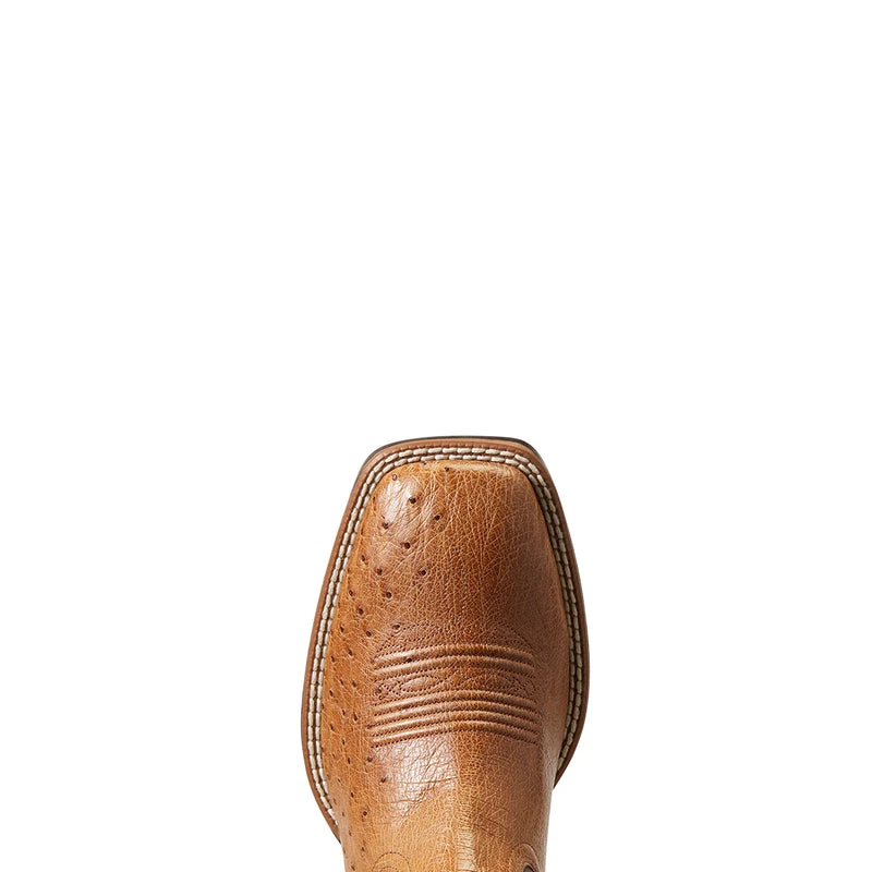 'Ariat' Men's 11" Night Life Ultra Western Square Toe - Ranger Smooth Quill Ostrich / Beam Brown 2 'Ariat' Men's 11" Night Life Ultra Western Square Toe - Ranger Smooth Quill Ostrich / Beam Brown - Image 2